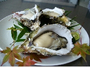 P1020357.JPG