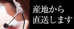注文.gif