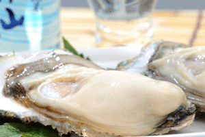 赤崎冬香【極】　The Top of Oyster