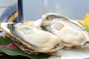 赤崎冬香【極】　The Top of Oyster
