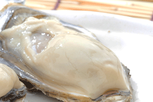 赤崎冬香【極】　The Top of Oyster